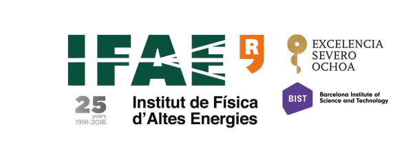 Institut de Física d’Altes Energies (IFAE)