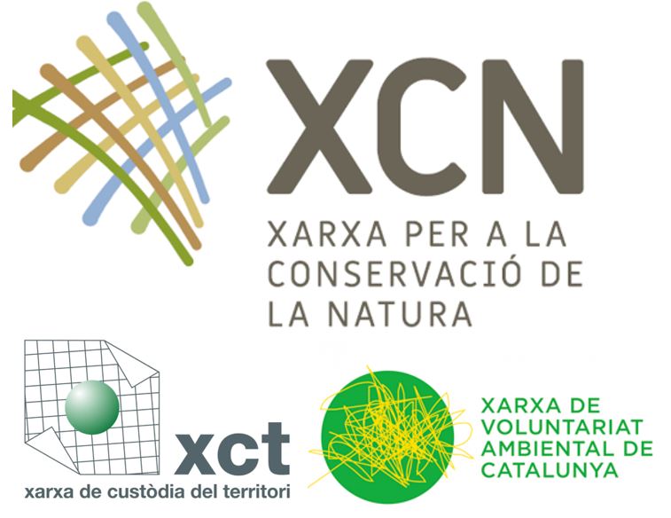 xcn