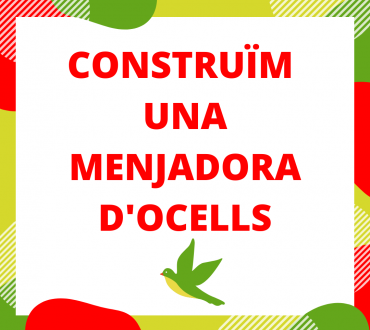 Construïm una menjadora d'ocells