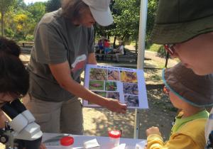 bioblitz-montserrat-muntanya-alinya