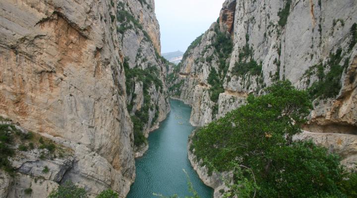 New season at the Nature Spaces Network at the Catalunya La Pedrera Foundation