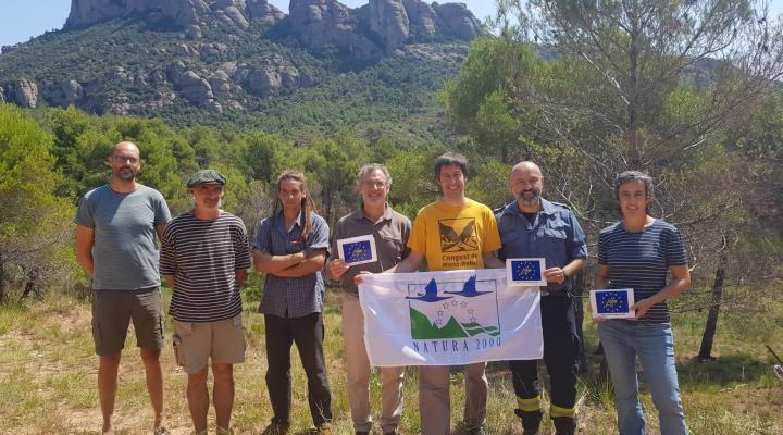 Nou model de gestió forestal que redueix el risc d'incendis