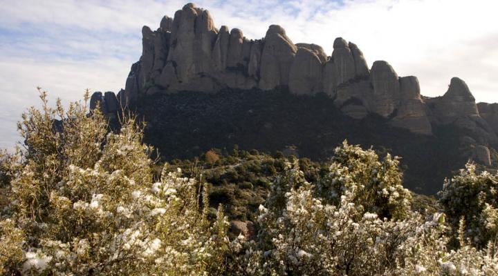 MONTSERRAT