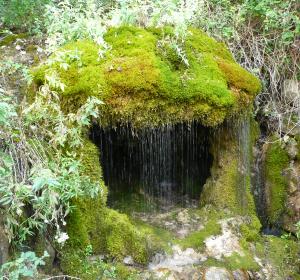 Camí de l’Aiguaneix