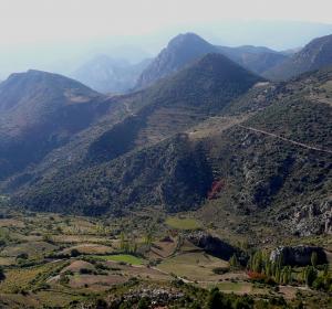 Camí del Tossal de l’Àliga