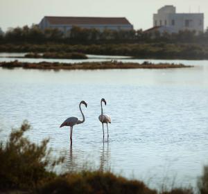 MónNatura Delta de l'Ebre