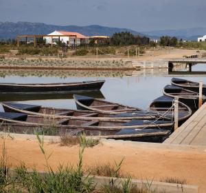 Sessió a MónNatura Delta de l’Ebre i l'Alfacada